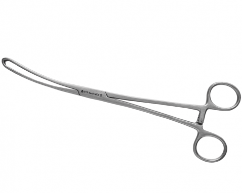Schroeder Episiotomy Scissors, Heavy, Straight, Sharp/Blunt, 8 1/4" (21.0 Cm)